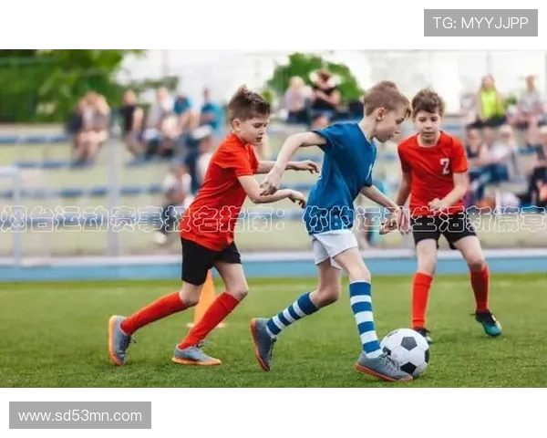 利用vsport体育的丰富资源,提升你的运动技能和体育知识水平 利用vsport体育的丰富资源,提升你的运动技能和体育知识水平